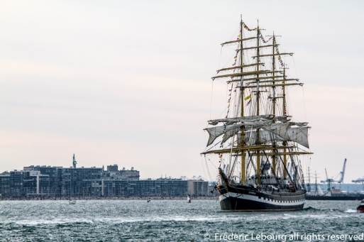 Les grandes voiles du Havre, 500 ans,